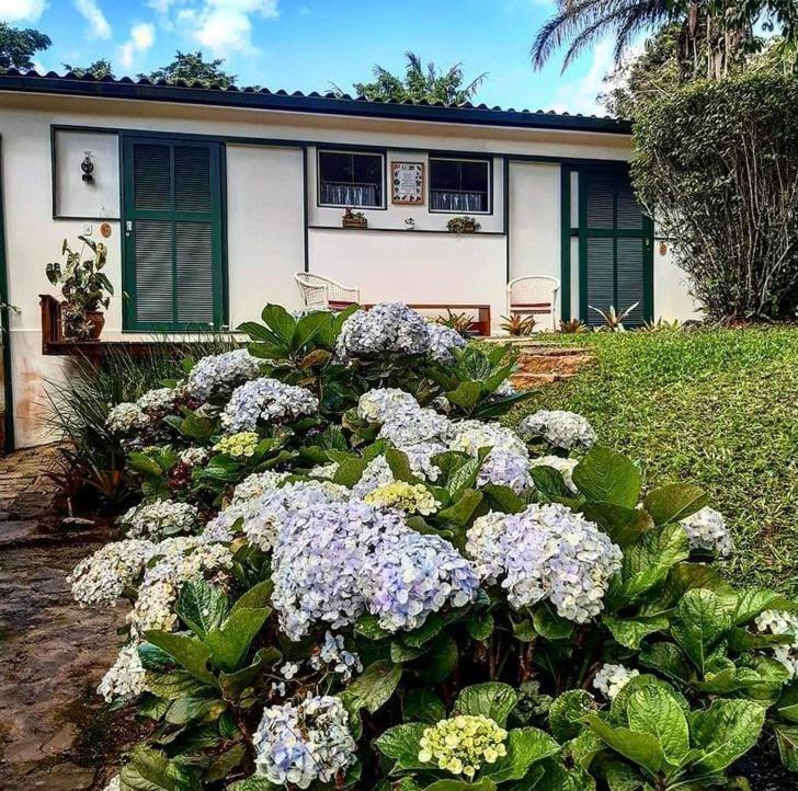 Hotel Pinheiros Do Rocio Petrópolis Esterno foto