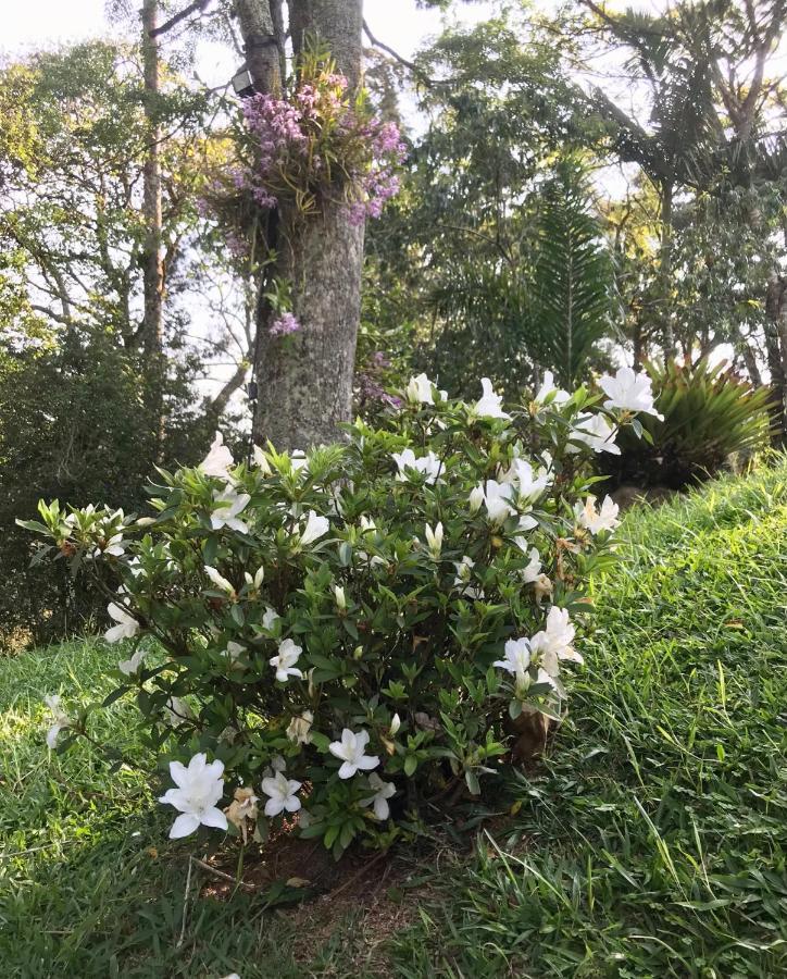 Hotel Pinheiros Do Rocio Petrópolis Esterno foto
