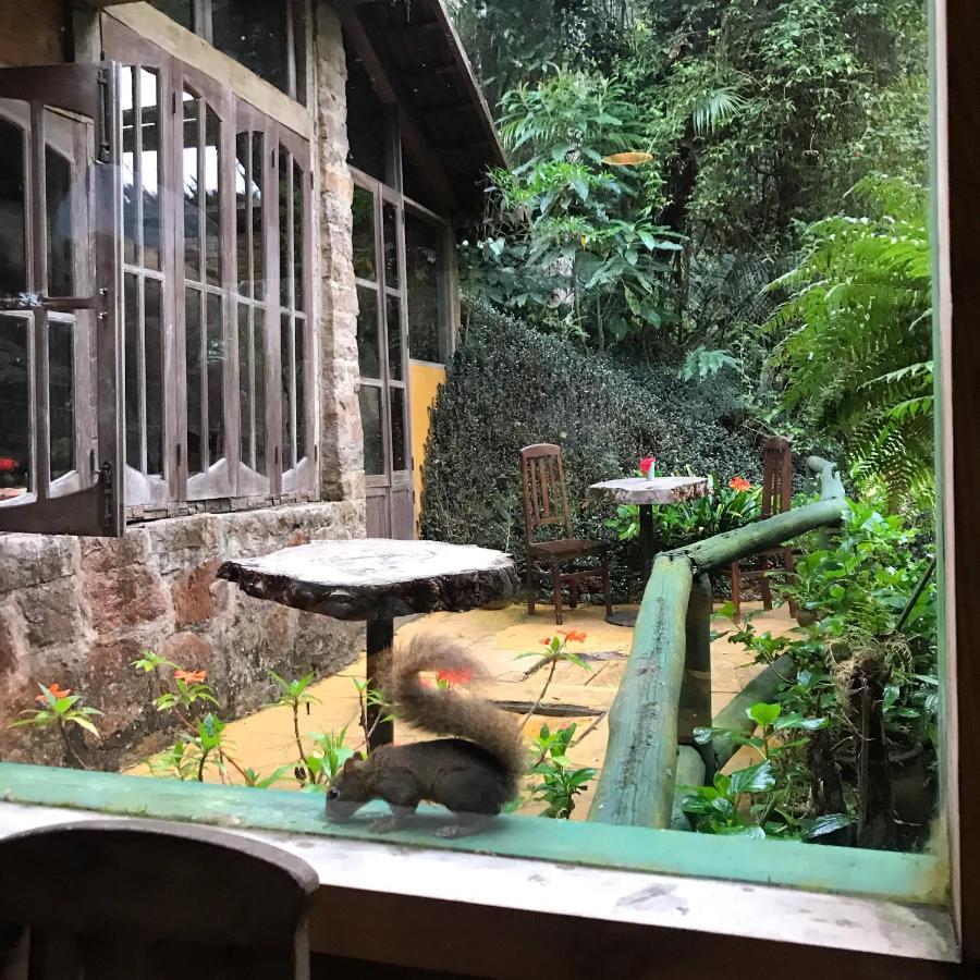Hotel Pinheiros Do Rocio Petrópolis Esterno foto