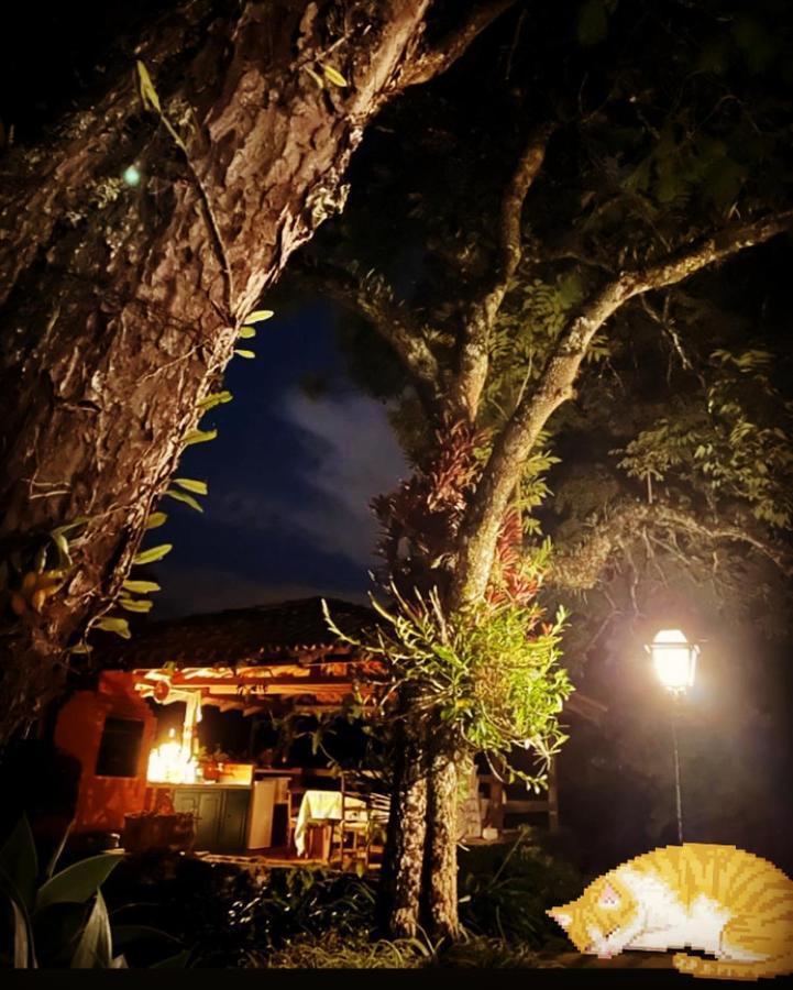 Hotel Pinheiros Do Rocio Petrópolis Esterno foto