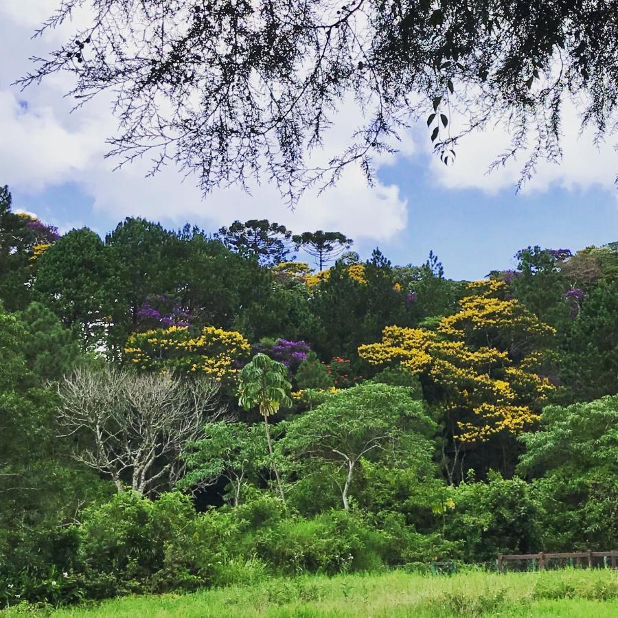 Hotel Pinheiros Do Rocio Petrópolis Esterno foto